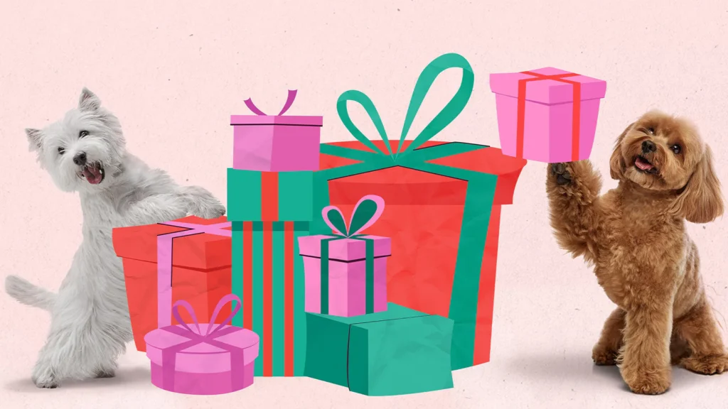 Why Black Friday is for Pets Too| Open Farm