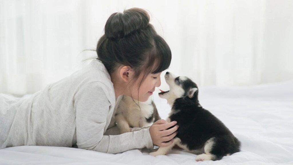 Breath Freshener Tips for Dogs