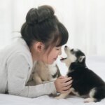 Breath Freshener Tips for Dogs