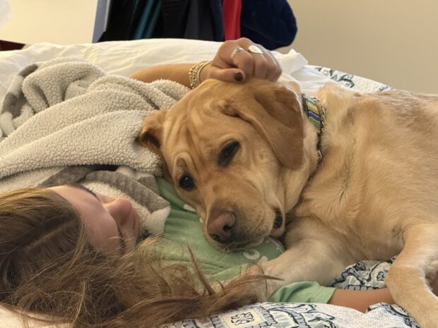 Snooping Pooch Sneaks a Snack of Eczema Cream