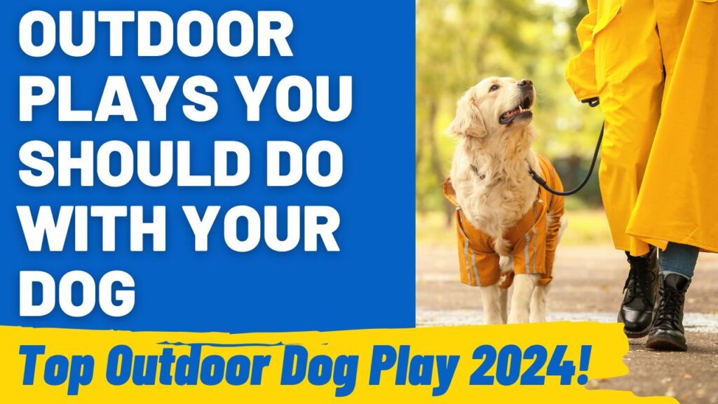 Maximize the Fun: Make Dog Outdoor Play Memorable