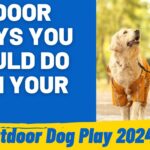 Maximize the Fun: Make Dog Outdoor Play Memorable