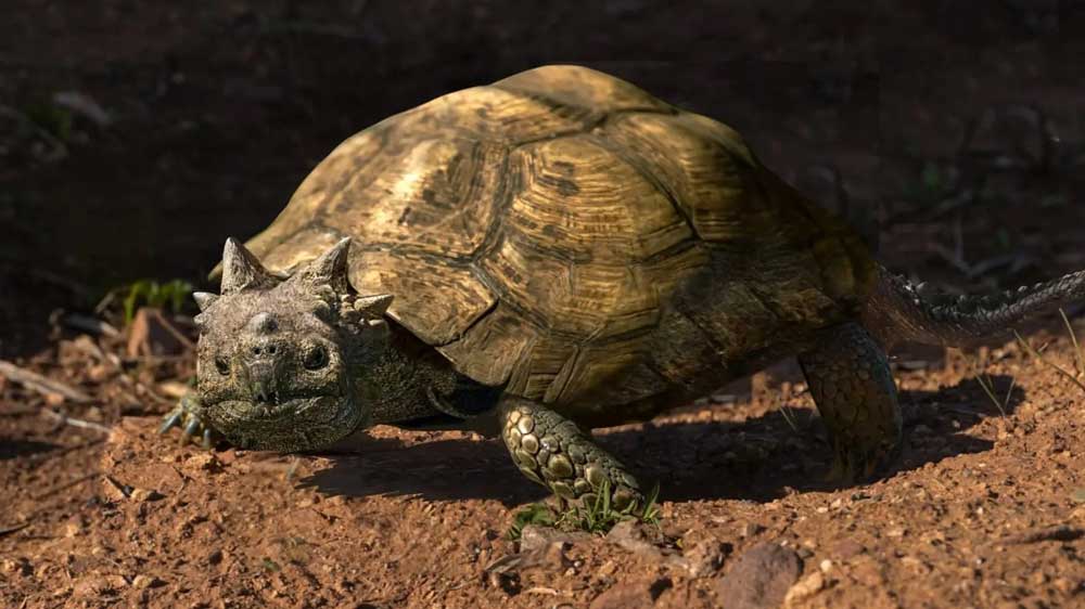 New Patagoniaemys Horned Turtle Species From Late Cretaceous Period Discovered