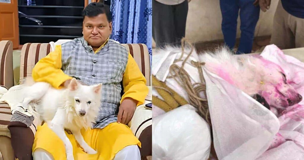 Pet Dog Dies During Owner’s Funeral in Madhya Pradesh