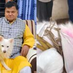 Pet Dog Dies During Owner’s Funeral in Madhya Pradesh