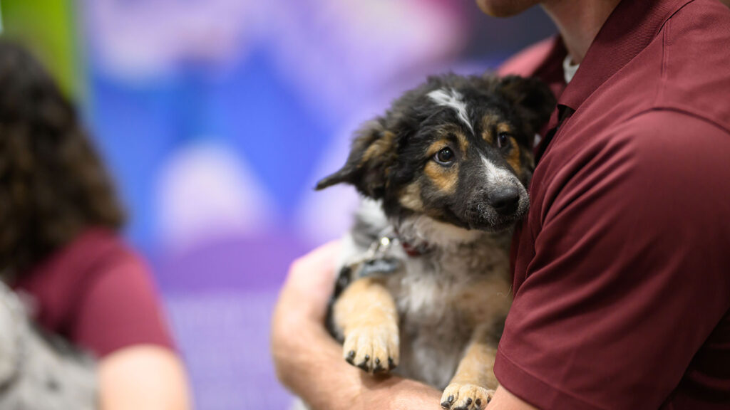 Petfood Forum 2026 Welcomes On-Site Pet Charities: PawsAbilities and Polk County Humane Society