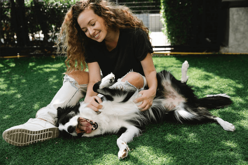 Why Playing with Your Dog is More Important Than You Think