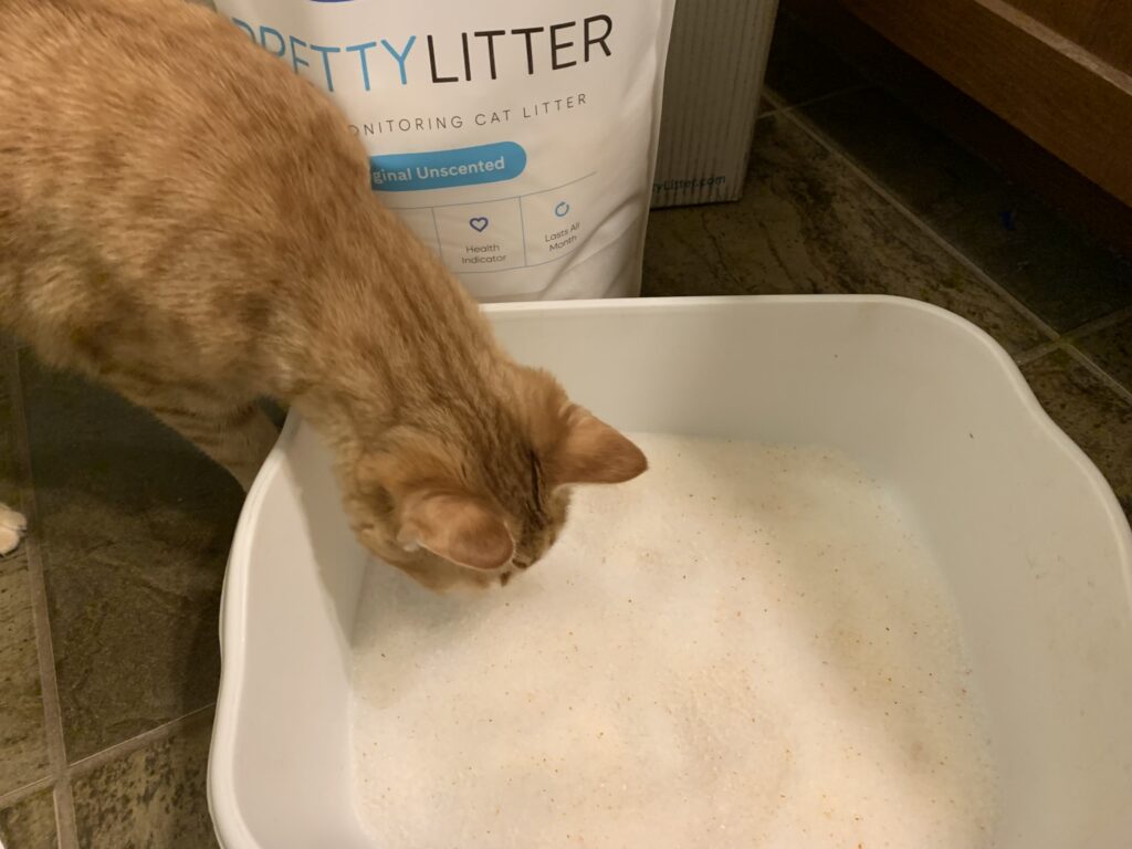 PrettyLitter Review 2026: Is the Health-Monitoring Litter Worth It?
