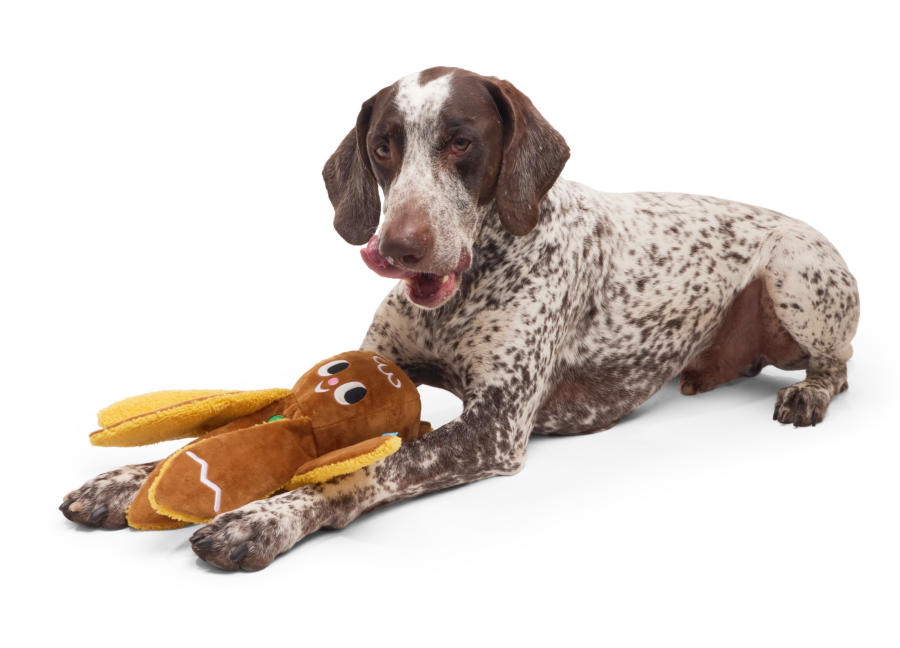 Designing the Holiday Dog Gift That Delivers Joy for Both Ends of the Pet Leash