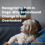 Pain in Dogs: Behavioural Signs Often Missed