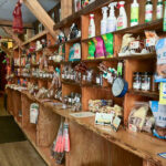 Keeping It Quirky: How One Pet Shop Owner Rebuilt Bigger and Bolder at 68
