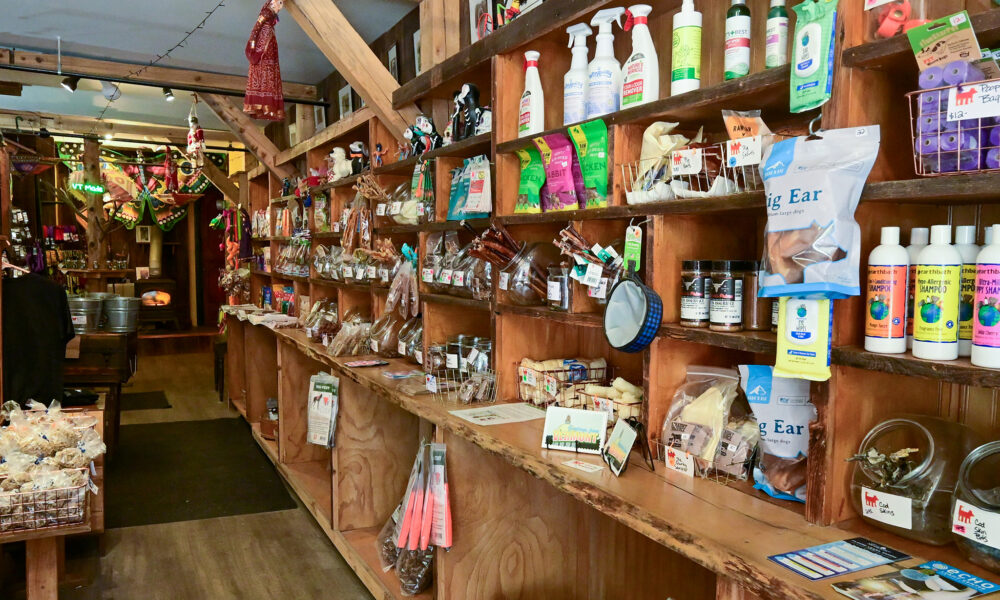 Keeping It Quirky: How One Pet Shop Owner Rebuilt Bigger and Bolder at 68