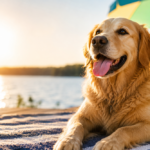 Preparing Pets for Summer Without the Stress