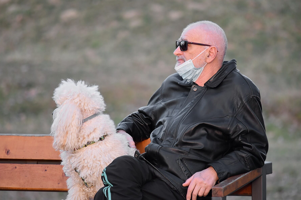 Is Your Dog Scared of Face Masks?