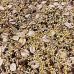 Blueberry’s Tiny Bird Seed Mix