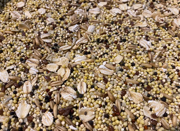 Blueberry’s Tiny Bird Seed Mix