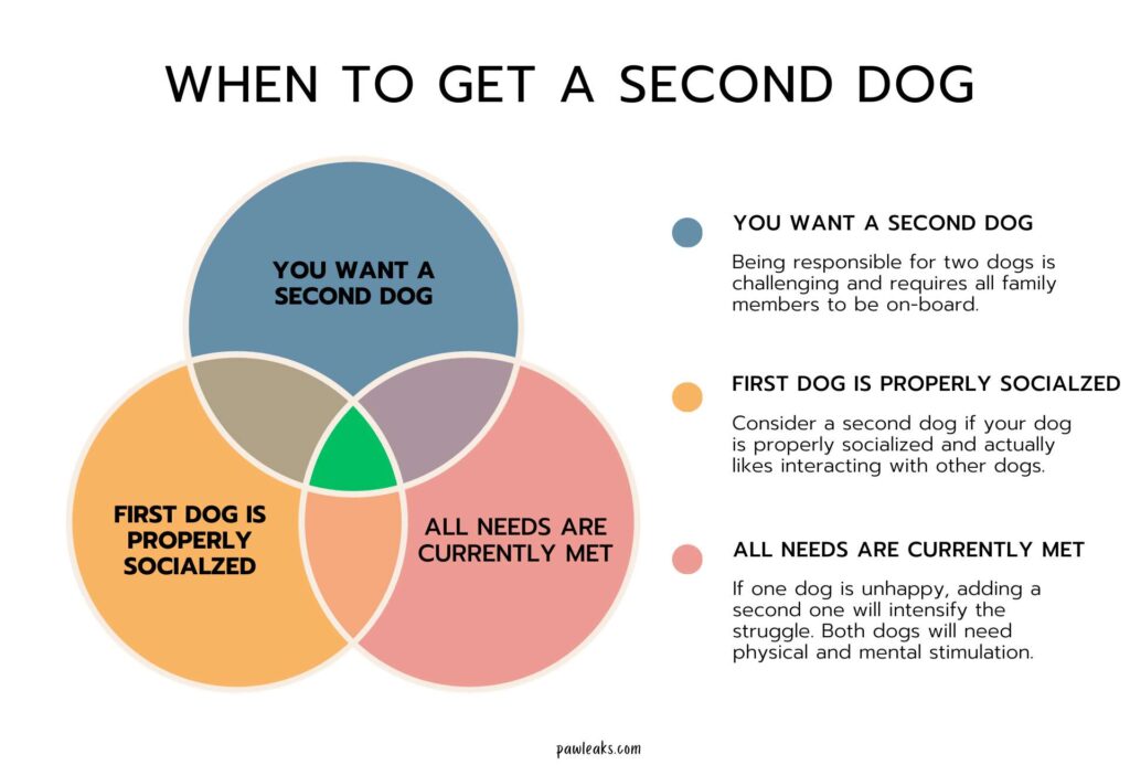 Does My Dog Want to be an Only Dog?