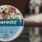 Elanco Agrees To $15M Settlement After 2,500+ Pet Deaths From Seresto Flea Collars