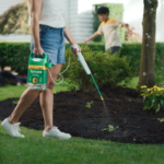 Enhancing Outdoor Environments for the Pets You Love