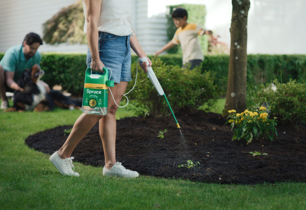 Enhancing Outdoor Environments for the Pets You Love