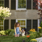Backyard Bliss: How to Make Outdoor Time Safe, Enriching, and Fear Free for Your Dog