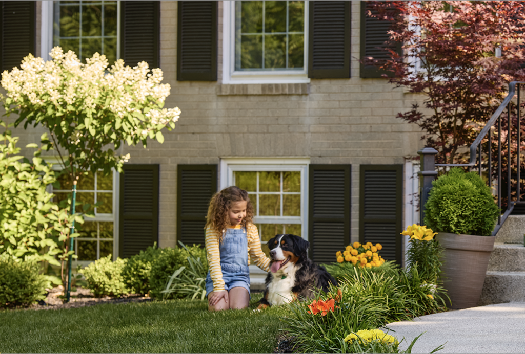 Backyard Bliss Starts Here! | Fear Free Happy Homes
