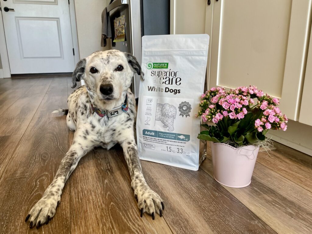 Superior Care White Dogs Grain-Free Small Breed Dog Food Review 2026: Our Expert’s Opinion — Dogster