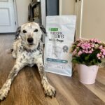 Superior Care White Dogs Grain-Free Small Breed Dog Food Review 2026: Our Expert’s Opinion — Dogster