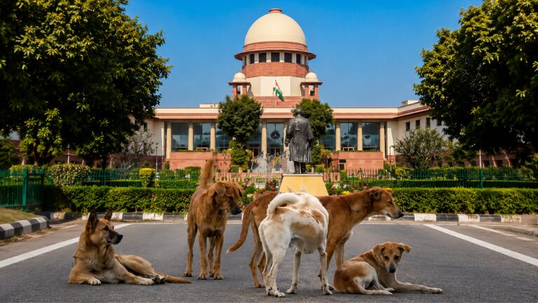 Supreme Court Refuses Plea on Dog ABC Centre Cruelty