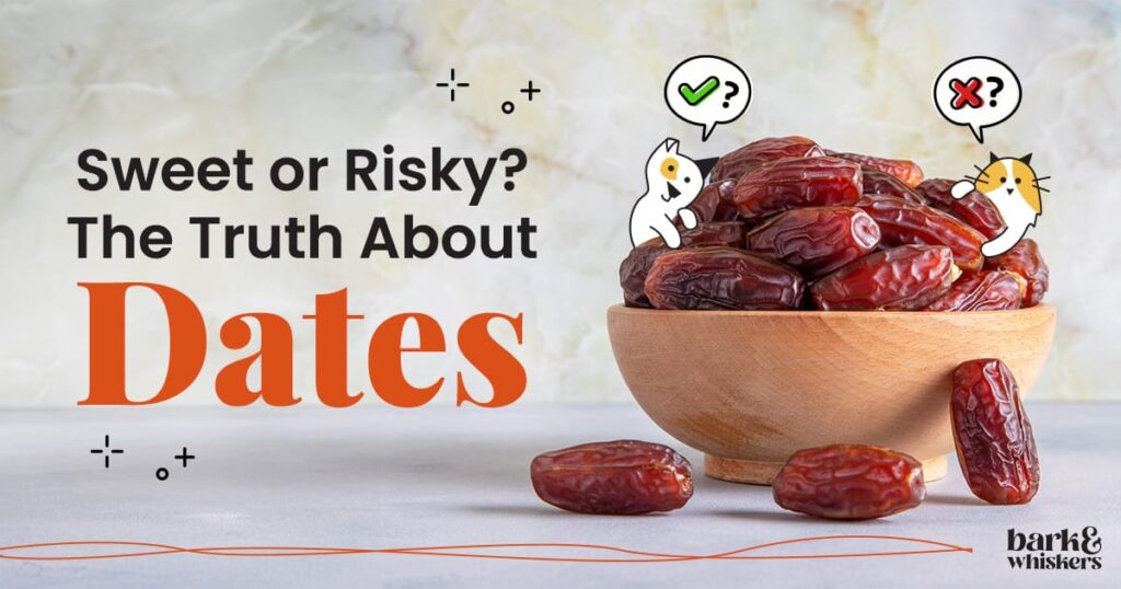 Can Your Pets Eat Dates?