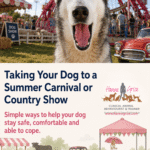 Taking Your Dog to a Summer Carnival or Country Show