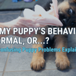 Will My Puppy Outgrow This or Do I Need to Worry? 10 Behavior Problems Explained