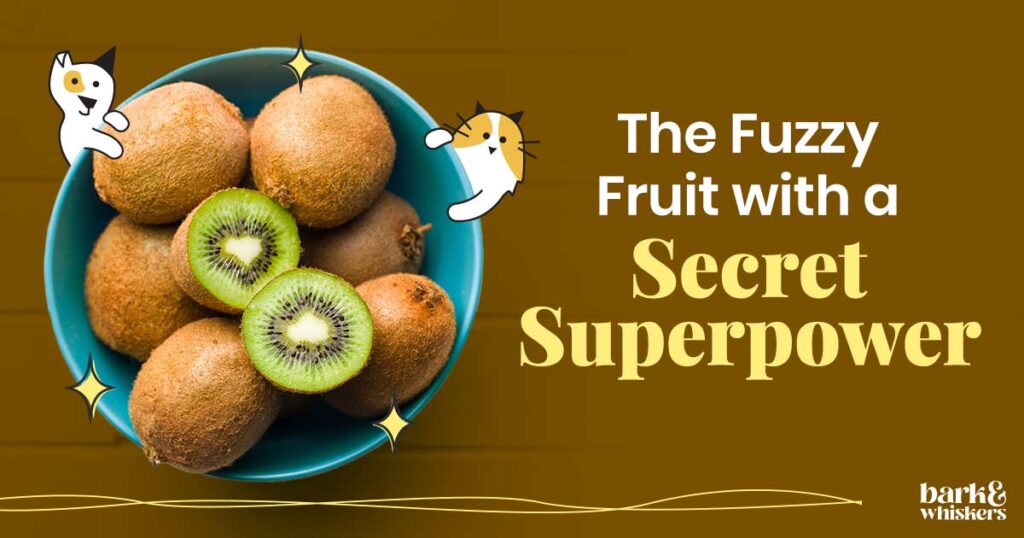 Can Your Pets Eat Kiwifruit?