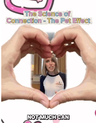Science of Connection: The Pet Effect