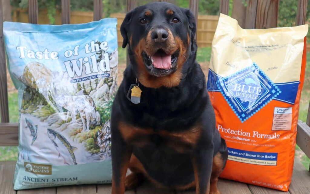 Taste of the Wild vs Blue Buffalo: A Hands-On Comparison