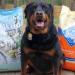 Taste of the Wild vs Blue Buffalo: A Hands-On Comparison
