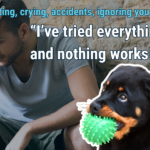 Help! I’ve Tried Everything and My Puppy Still Misbehaves
