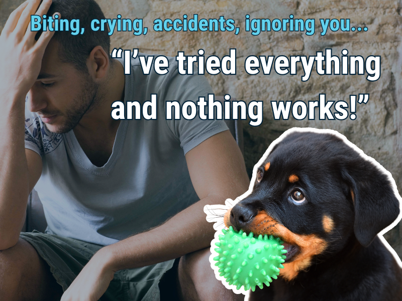 Help! I’ve Tried Everything and My Puppy Still Misbehaves
