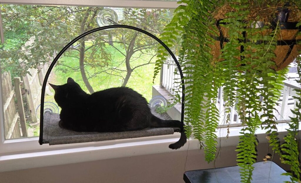 Tuft & Paw Cloud Nine Window Hammock Review: Is It Worth the Price?