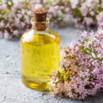 Natural calming products for dogs and cats: stress relief secrets every pet parent should know