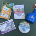 Valley Vet Review: A Trusted Online Pharmacy for Flea, Tick, and Heartworm Prevention