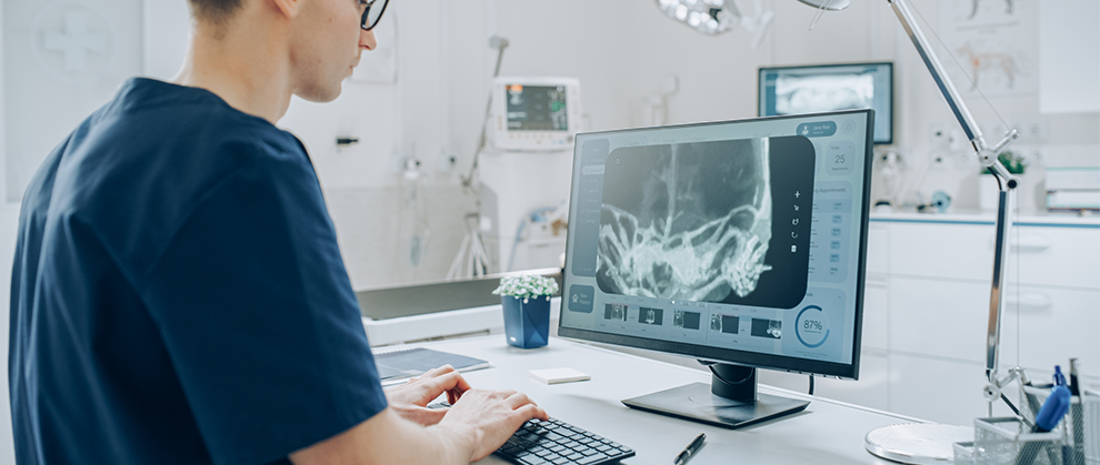 Why Veterinary Software Should Embrace Open APIs
