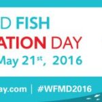 Help Migratory Fish around the World — Seriously Fish