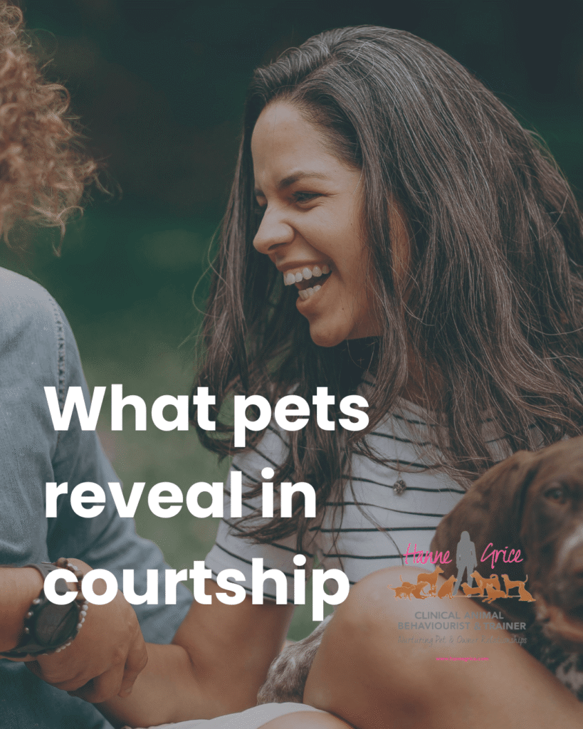 What pets reveal in courtship