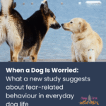 When a Dog Is Worried