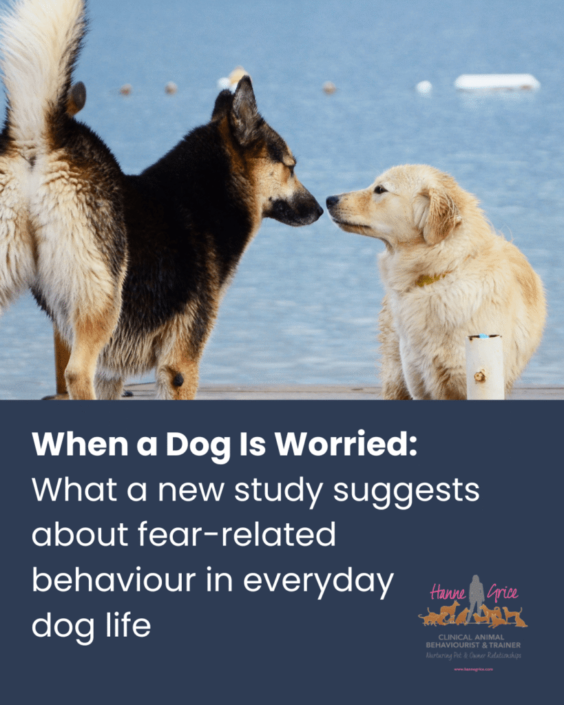 When a Dog Is Worried