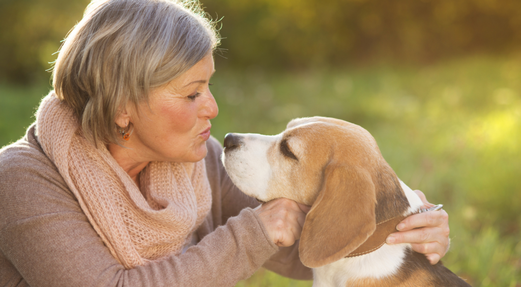 Why Modern Dog Care is Quietly Shifting From Treatment to Lifespan Stewardship — Dogster