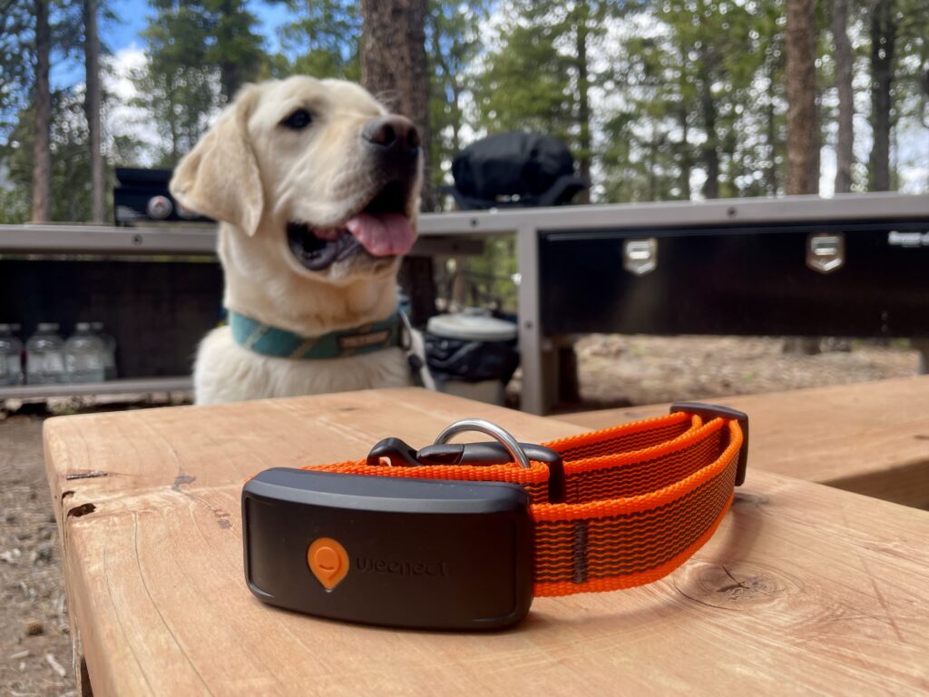 Weenect XT Dog GPS Tracker Review 2026: Our Expert’s Opinion — Dogster