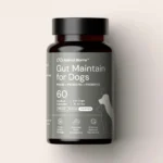 Dog Gut Health Supplements: What to Look For