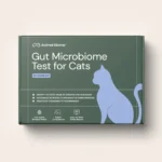 Cat Gut Health: Signs and Microbiome Support
